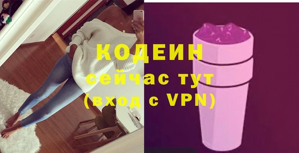 индика Арсеньев