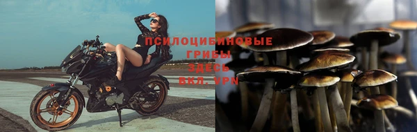 стафф Алзамай