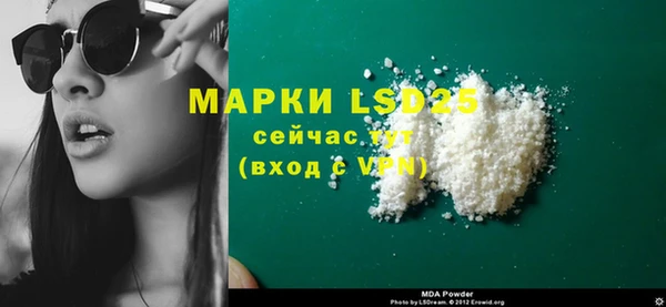 стафф Алзамай
