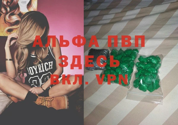 стафф Алзамай
