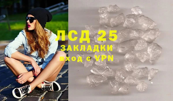 стаф Алексин