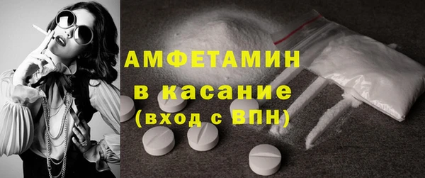 стаф Алексин